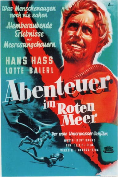 Diving in the Red Sea poster