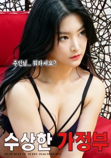 Strange Housekeeper poster