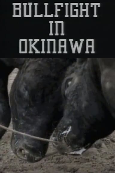 Bullfight in Okinawa poster