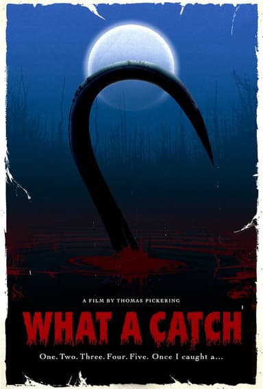 What A Catch poster