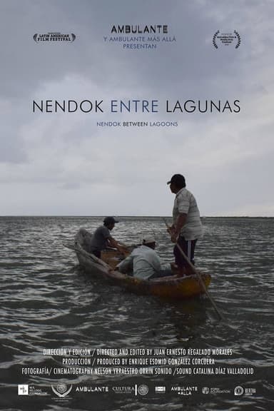 Nendok entre lagunas poster