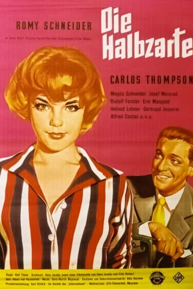 Die Halbzarte poster
