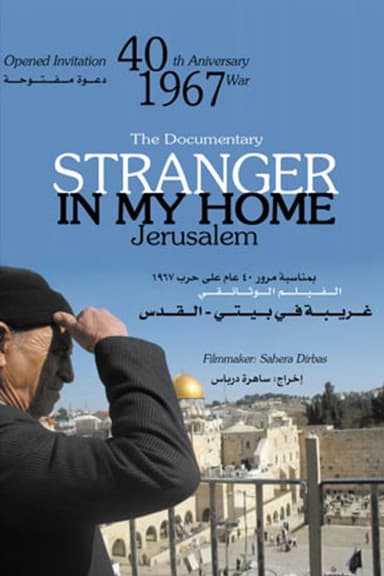 Stranger in my Home poster