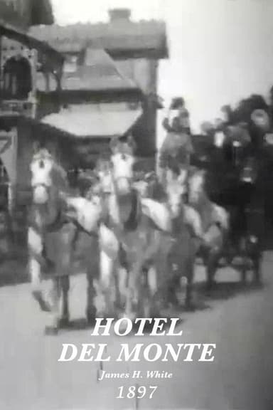 Hotel Del Monte poster