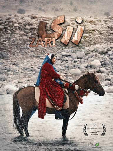 Zari poster