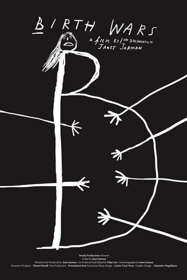 Birth Wars poster