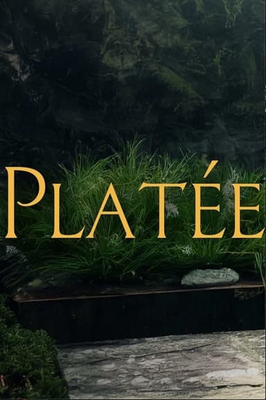 Platée poster