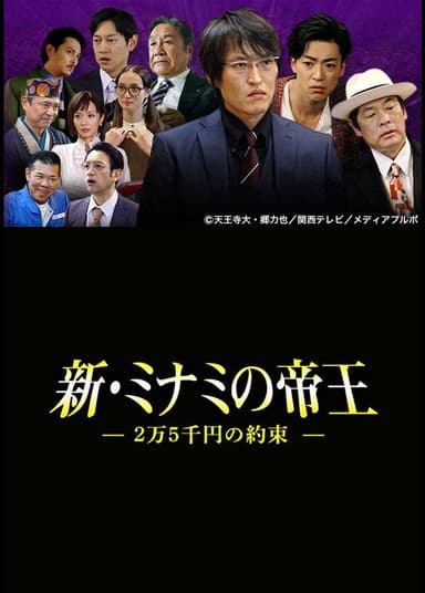 The King of Minami Returns: A 250 Dollar Promise poster