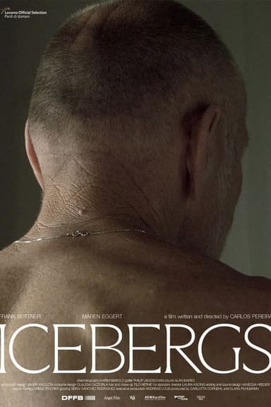 Icebergs poster