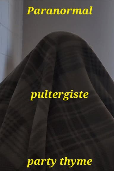 Paranormal Poltergeist Party Time poster