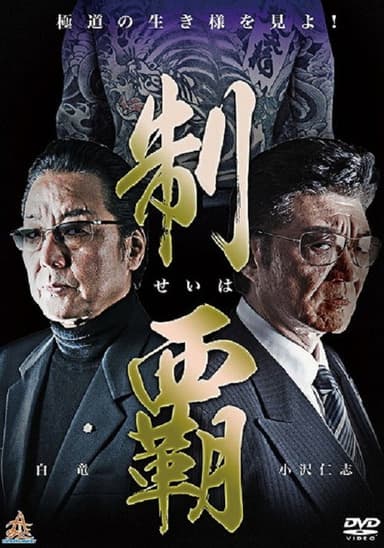 Conquest poster