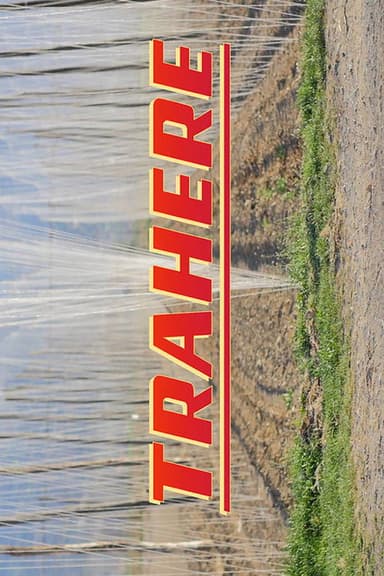 Trahere poster