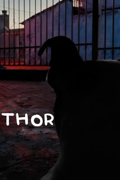 Thor poster