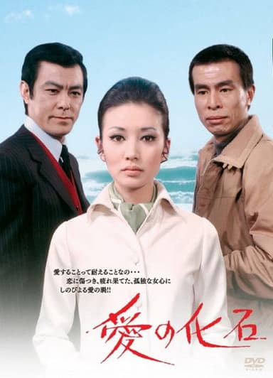 Fossil of Love poster