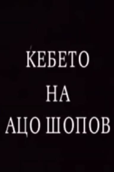 The Blanket of Aco Shopov poster