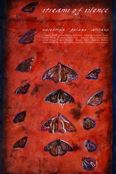 Streams of Silence poster