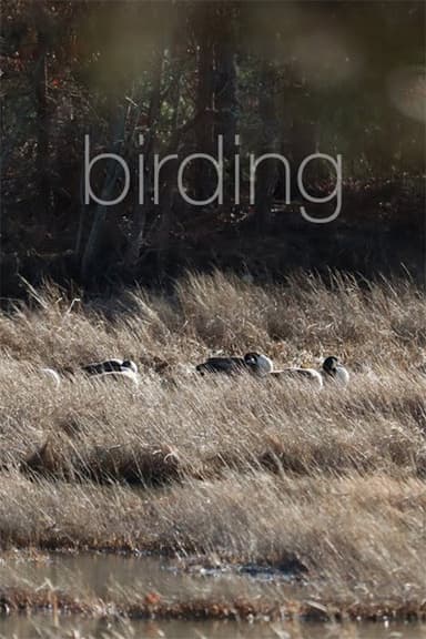Birding poster