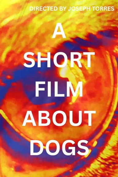 Camera Test #2 poster