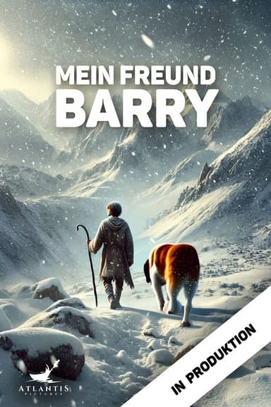 My Friend Barry poster