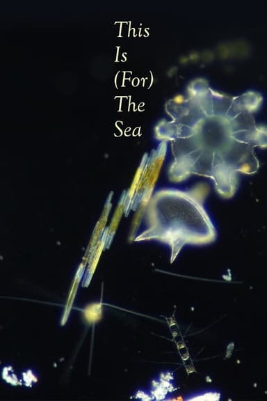 This Is (for) the Sea poster