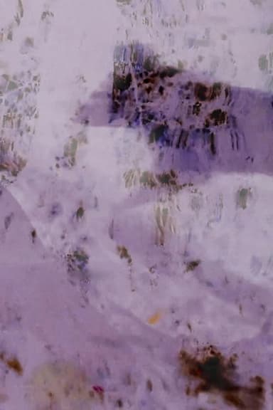Field of Vision poster
