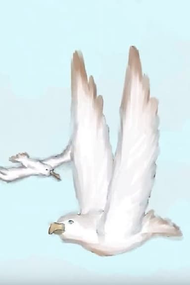 Albatross poster