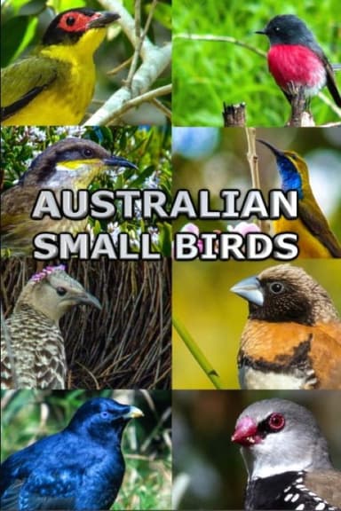 Australian Small Birds poster