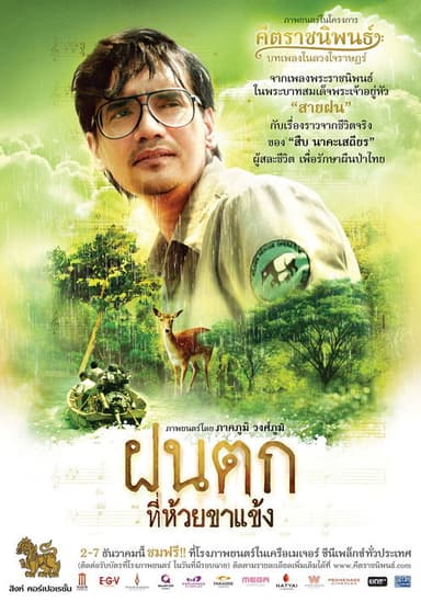 Falling Rain poster