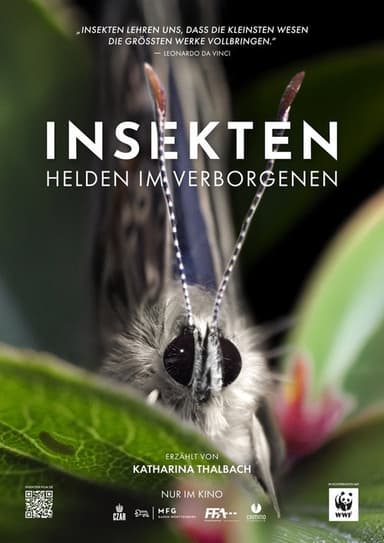 Insekten - Helden im Verborgenen poster