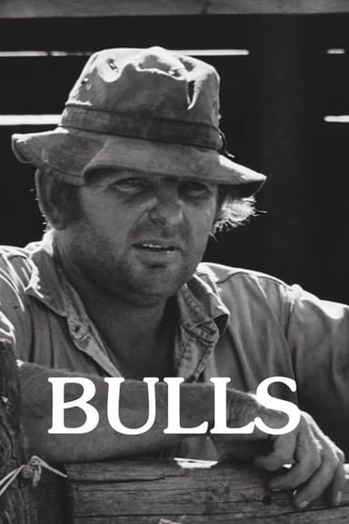 Bulls poster