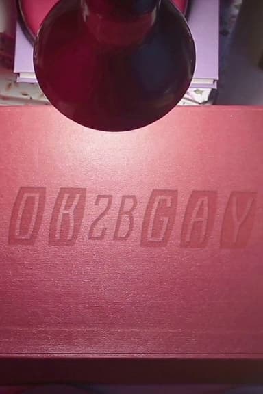 OK2BGAY poster