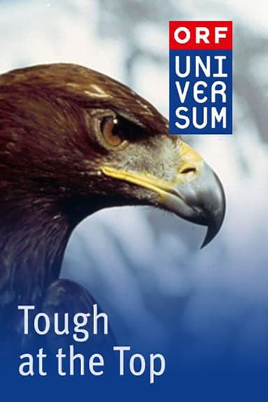 Tough at the Top poster