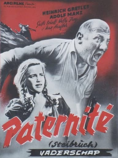 Steibruch poster