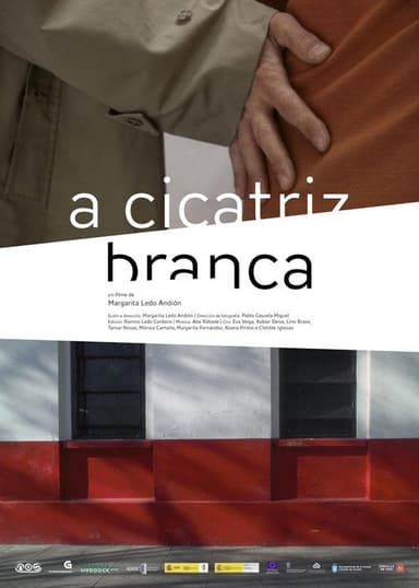 Apuntamentos para un filme poster