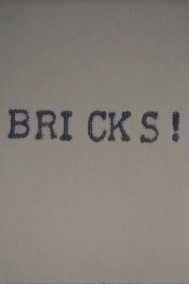 Bricks! poster