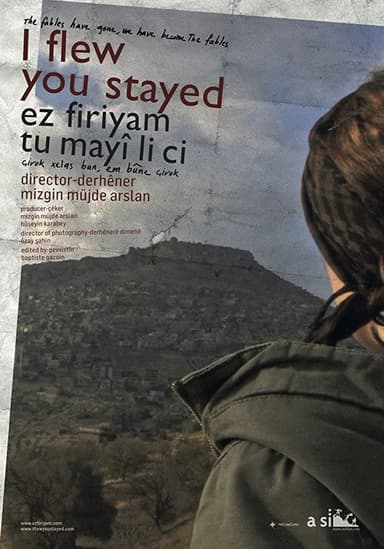 I flew you stayed poster