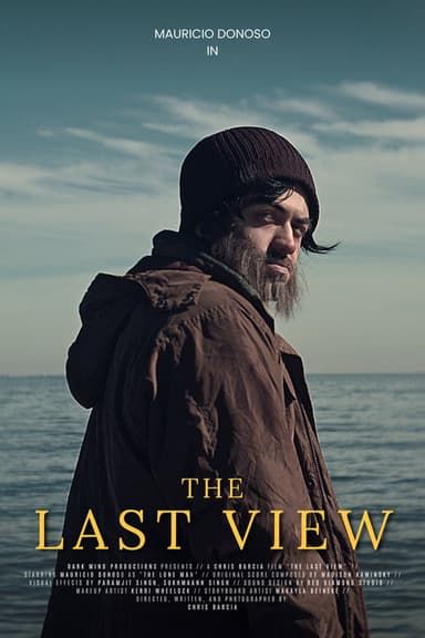 The Last View poster