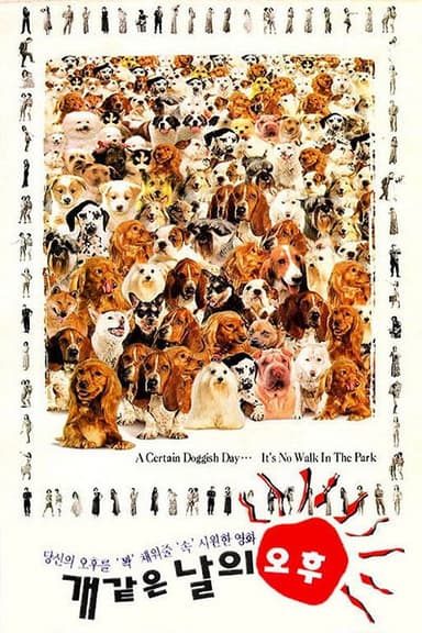 A Hot Roof poster