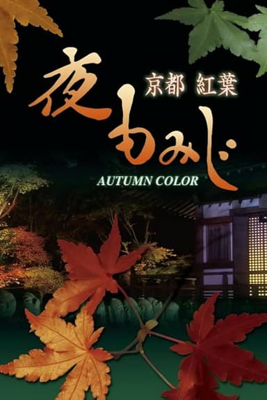 京都 紅葉 夜もみじ ブルーレイ poster