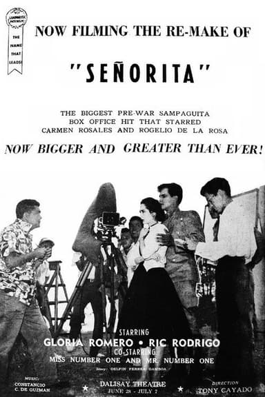 Señorita poster