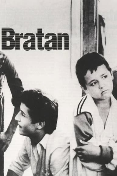 The Little Brother poster