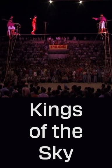 Kings of the Sky poster