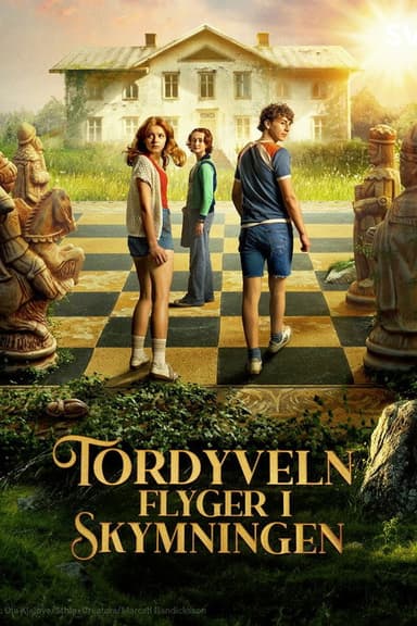 Tordyveln flyger i skymningen poster