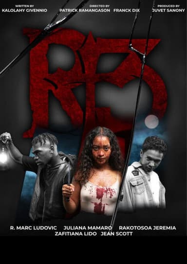 R+3 poster