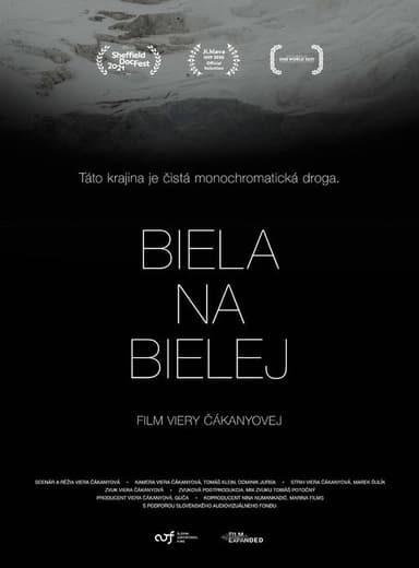 White on White poster