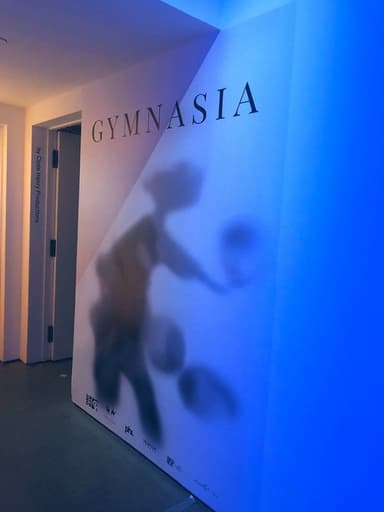 Gymnasia poster