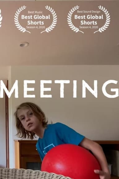 After The Meeting poster