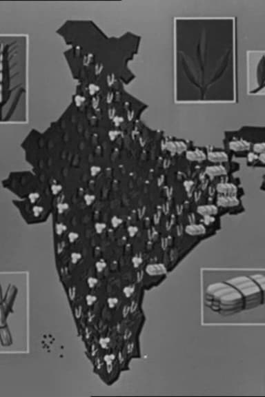This Our India poster