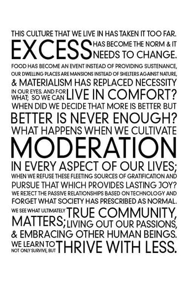 Thrive With Less poster