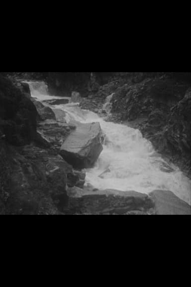 Swiss Trip (Rivers and Landscapes) poster